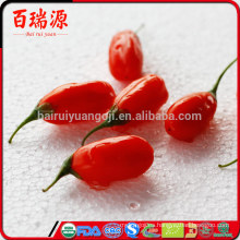 Semillas de Goji Barbarum goji comprar bayas saludables